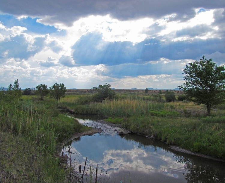 Picture of BECKER LAKE WILDLIFE PRESERVE