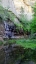 Picture of OAK CREEK CANYON II