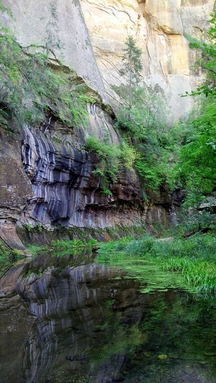 Picture of OAK CREEK CANYON II