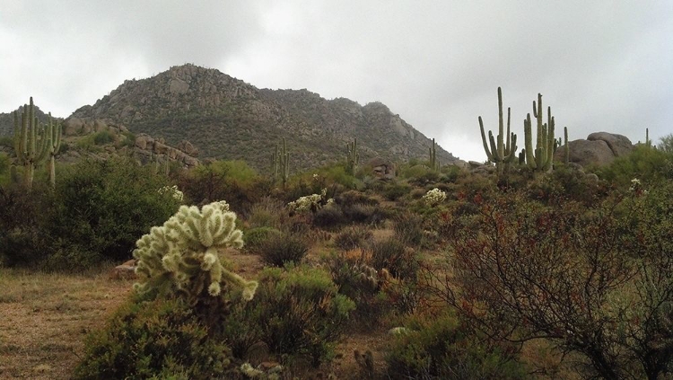 Picture of GRANITE MOUNTAIN I