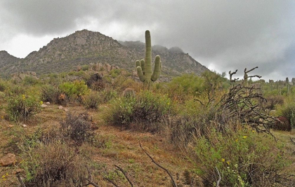 Picture of GRANITE MOUNTAIN II