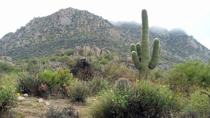 Picture of GRANITE MOUNTAIN