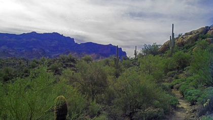 Picture of SUPERSTITION MOUNTAIN I