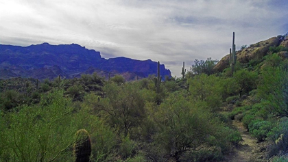Picture of SUPERSTITION MOUNTAIN I