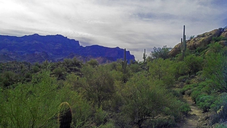 Picture of SUPERSTITION MOUNTAIN I