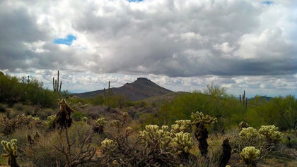 Picture of BROWN’S MOUNTAIN