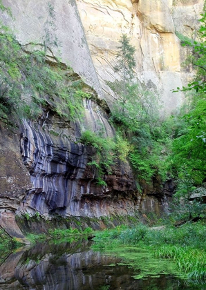 Picture of OAK CREEK CANYON III