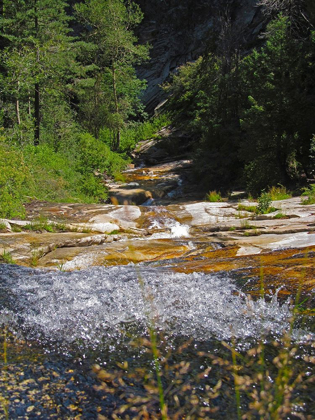 Picture of RIPARIAN IV