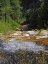 Picture of RIPARIAN IV