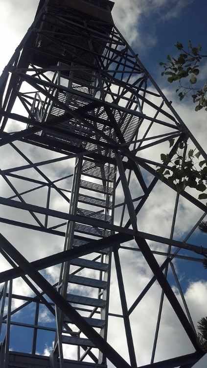 Picture of FIRETOWER