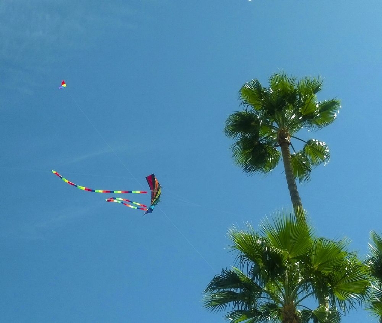 Picture of KITES I