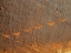 Picture of PETROGLYPHS I