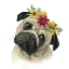 Picture of FLOWER CROWN PUP I