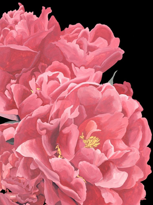 Picture of PEONIES OF MY HEART I