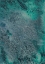 Picture of INNATE SENSE II