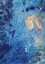 Picture of BLUE HAWAII II