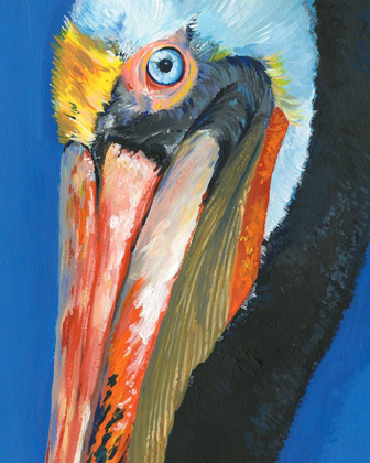 Picture of VIBRANT PELICAN I