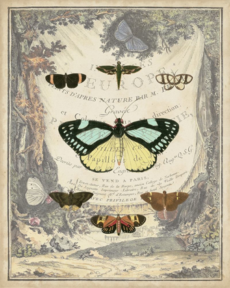Picture of VINTAGE BUTTERFLY BOOKPLATE