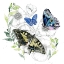 Picture of BUTTERFLY FLORAL I