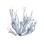 Picture of NAVY SEAWEED IV