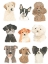 Picture of DOGGOS AND PUPPERS II