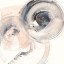 Picture of SPIN AROUND IV