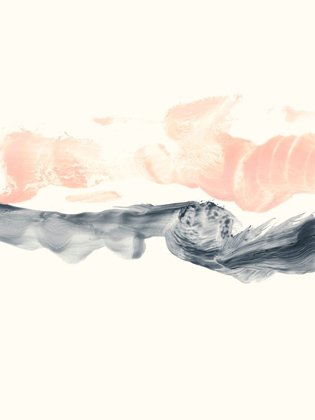 Picture of BLUSH DIVIDE I