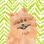 Picture of PARLOR POOCHES IV