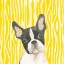 Picture of PARLOR POOCHES VIII