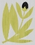Picture of FLOWER CUTTING II