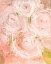 Picture of VINTAGE ROSE