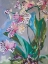 Picture of MAINE SPRING FLOWERS I