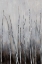 Picture of BARE TREE TOPS I
