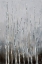 Picture of BARE TREE TOPS II