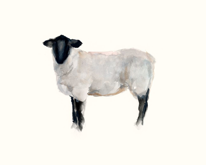 Picture of FARM ANIMAL STUDY I