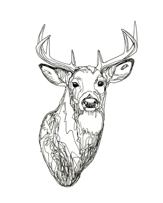 Picture of WHITETAIL WIREFRAME I