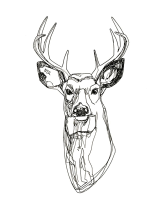 Picture of WHITETAIL WIREFRAME II