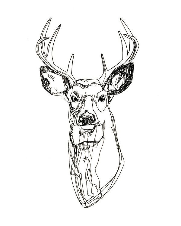 Picture of WHITETAIL WIREFRAME II