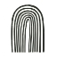 Picture of ARCOBALENO NERO IV