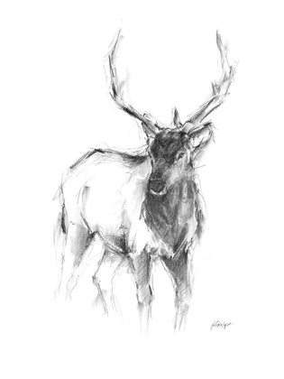Picture of WESTERN ANIMAL SKETCH II
