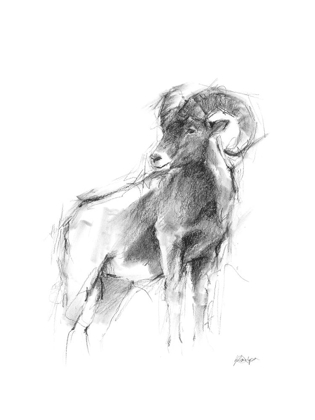 Picture of WESTERN ANIMAL SKETCH III