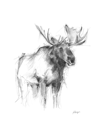 Picture of WESTERN ANIMAL SKETCH IV