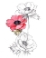 Picture of ANEMONE BY NUMBER II
