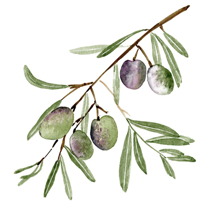 Picture of OLIVE BRANCH I