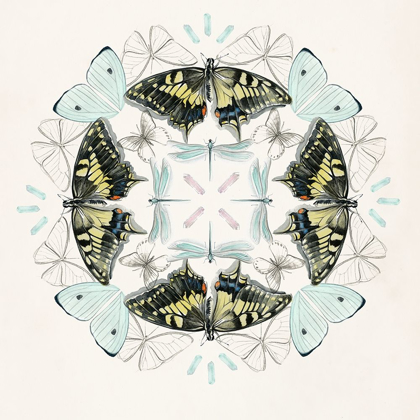 Picture of BUTTERFLY MANDALA I