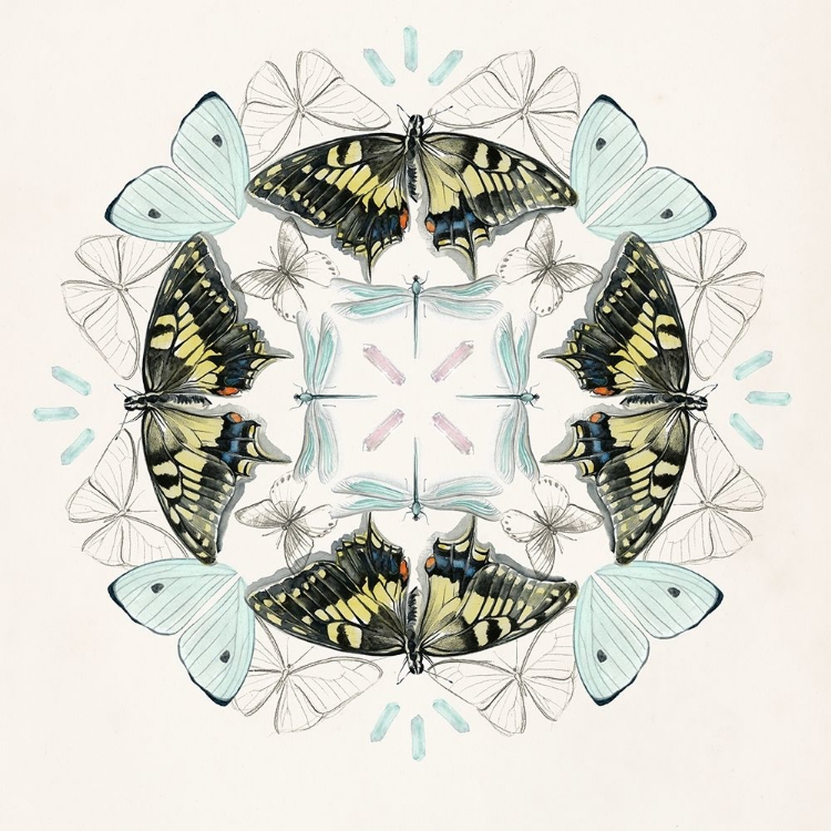 Picture of BUTTERFLY MANDALA I