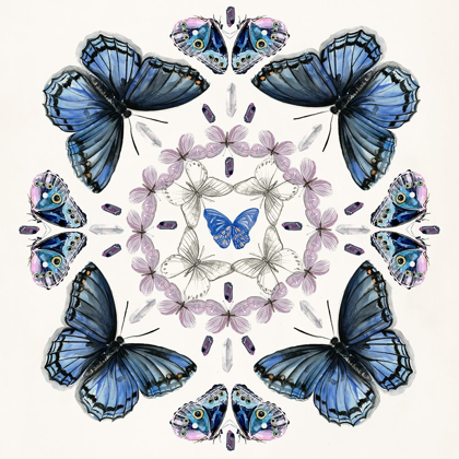 Picture of BUTTERFLY MANDALA II