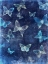 Picture of INDIGO FLIGHT II