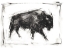 Picture of DYNAMIC BISON I
