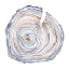 Picture of WATERCOLOR TREE RING II